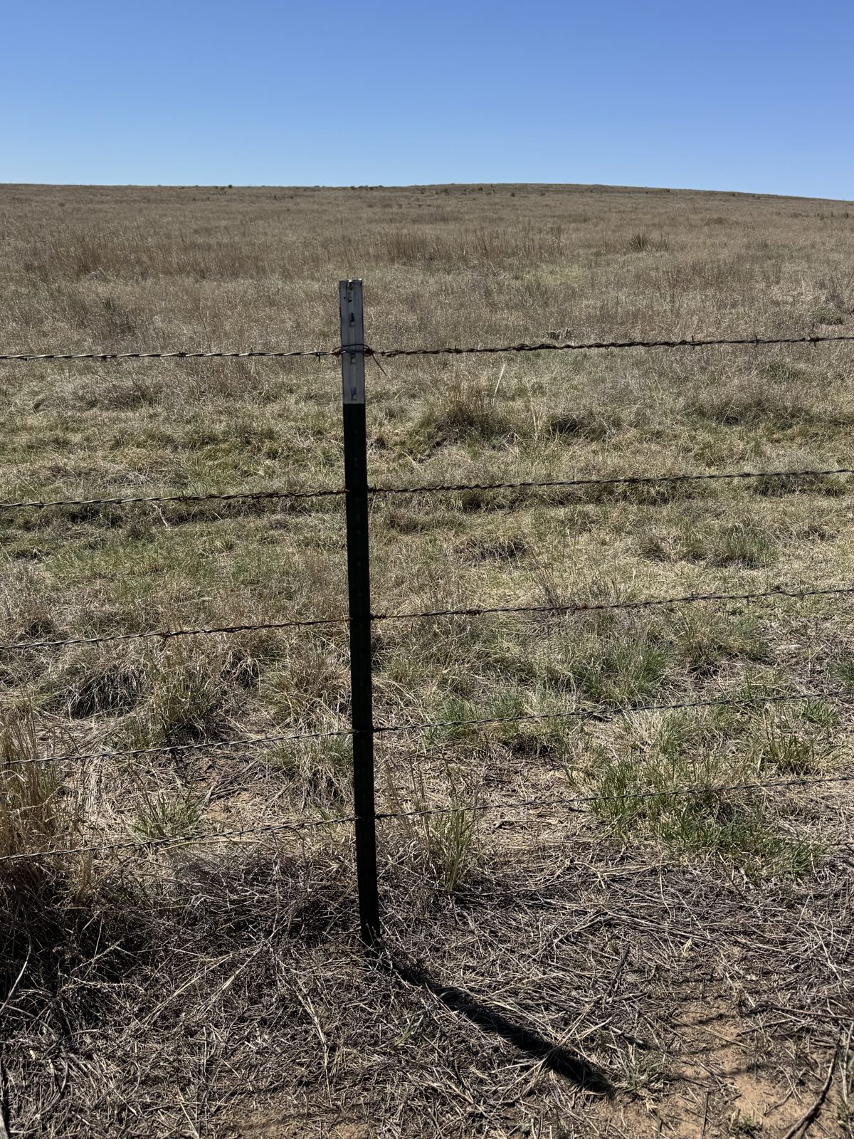 Fence line on the Ellison family pasture near Stratford, Texas Panhandle